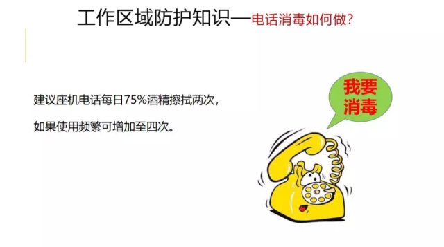 17.webp.jpg