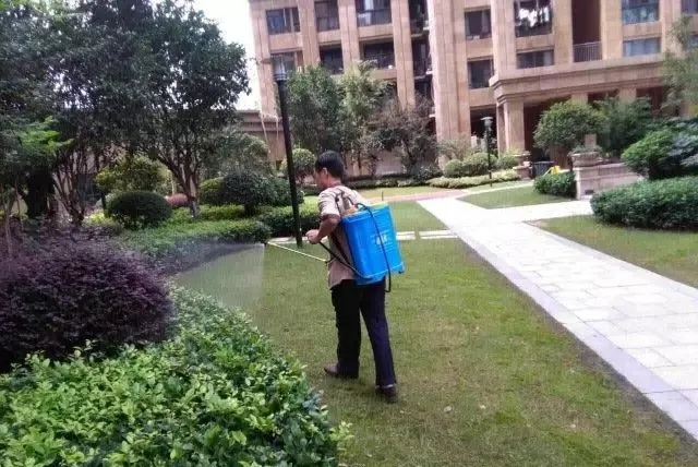 640.webp.jpg