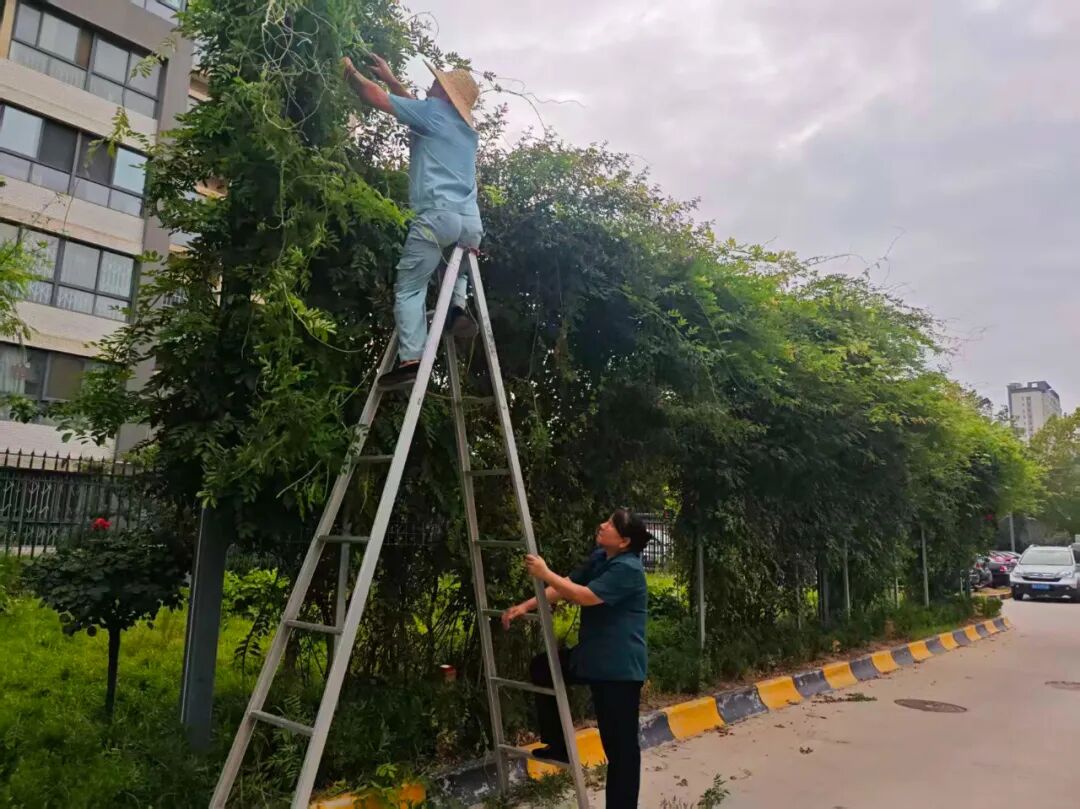 1759474615855777.jpg 1759474615855777.jpg