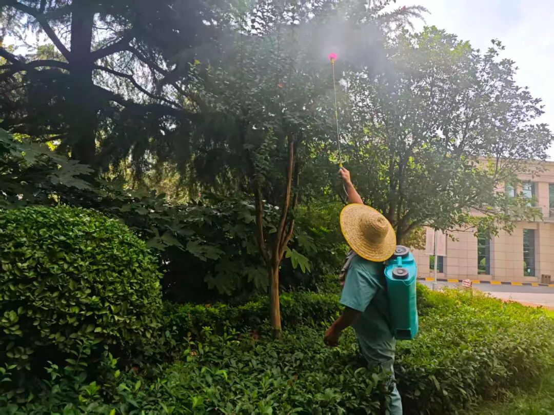 1759480114285732.jpg 1759480114285732.jpg