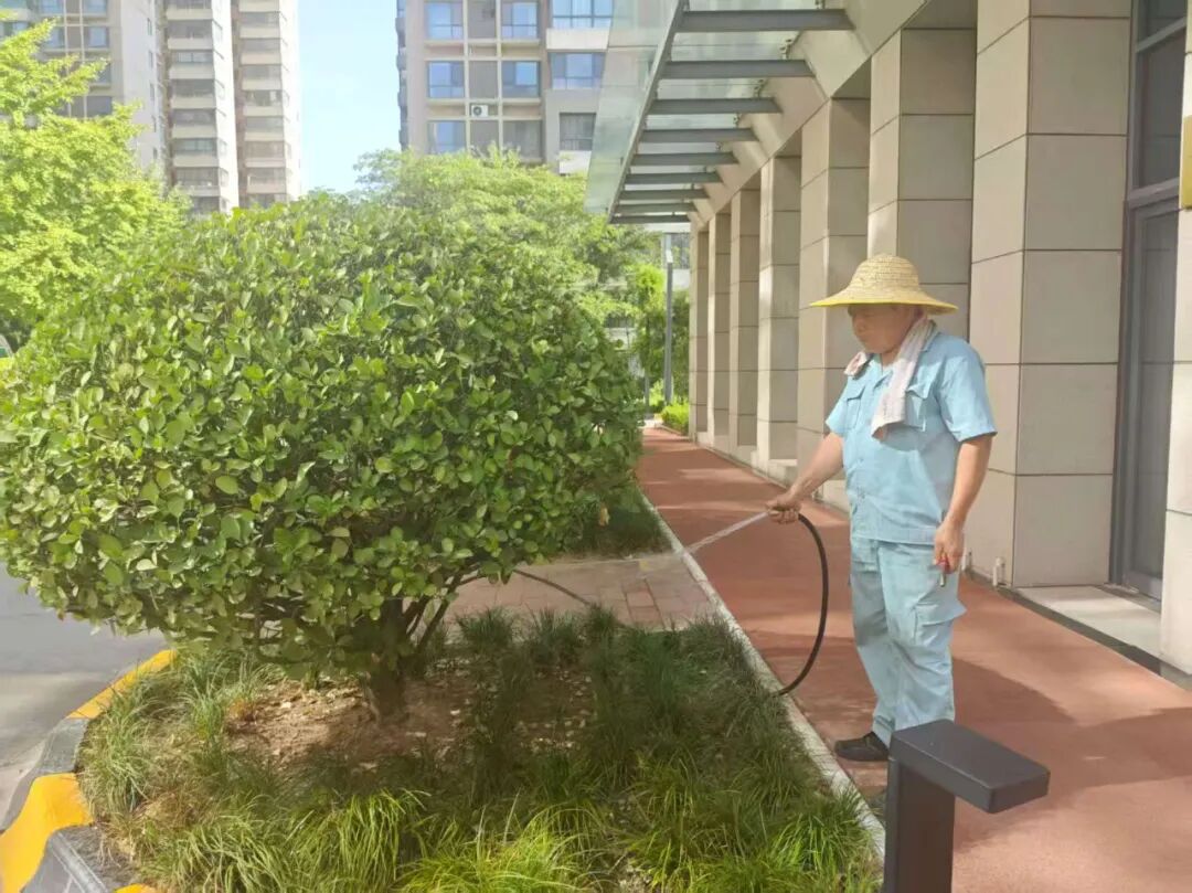 1759480143396434.jpg 1759480143396434.jpg