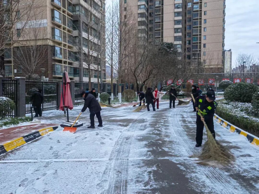 1769070532713454.jpg 1769070532713454.jpg